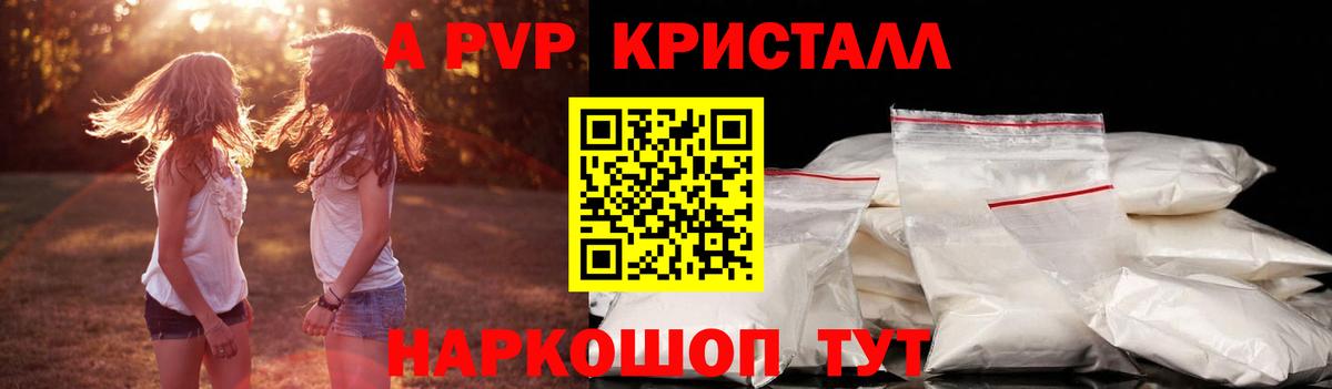 A-PVP СК КРИС Сегежа